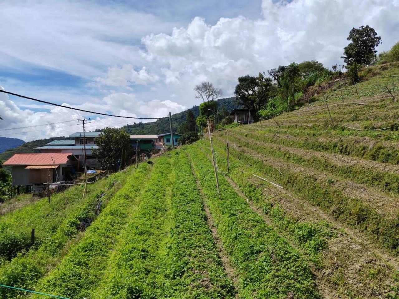 Kundasang Mount Garden Exteriör bild